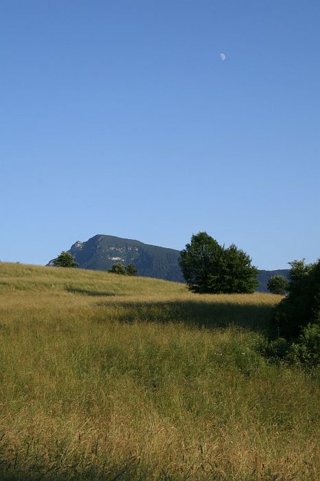 img_0355.jpg