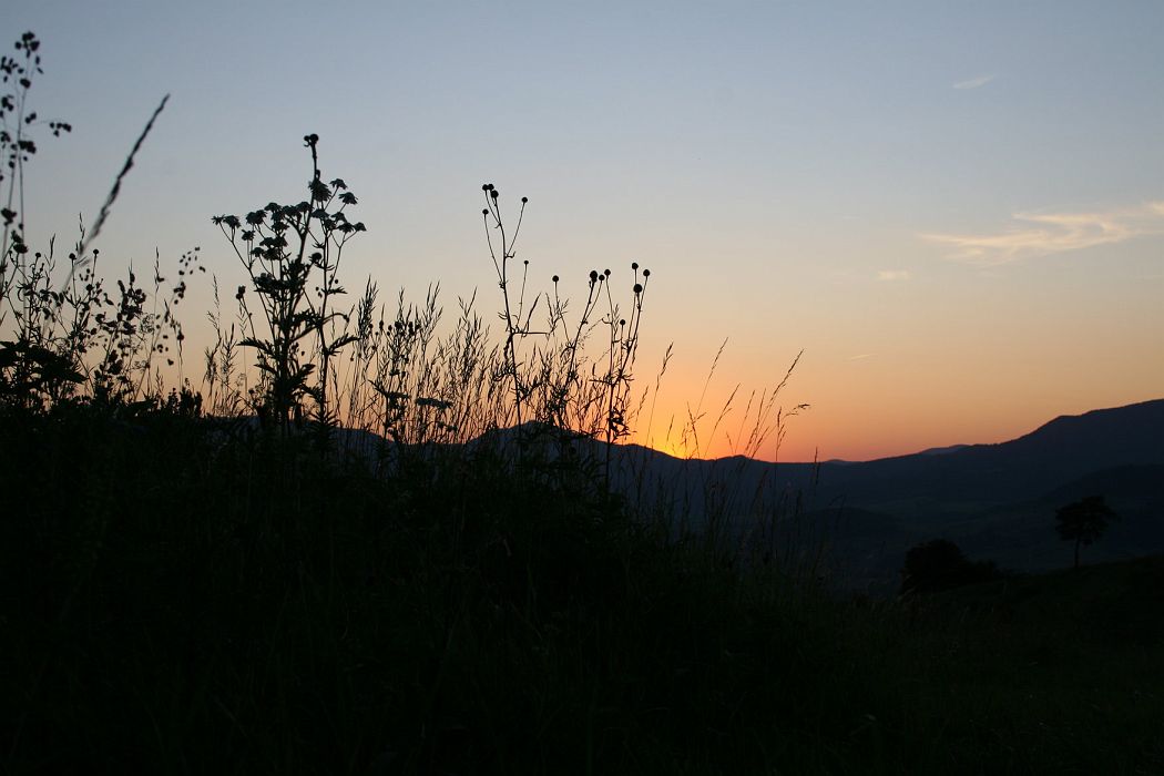 img_0421.jpg
