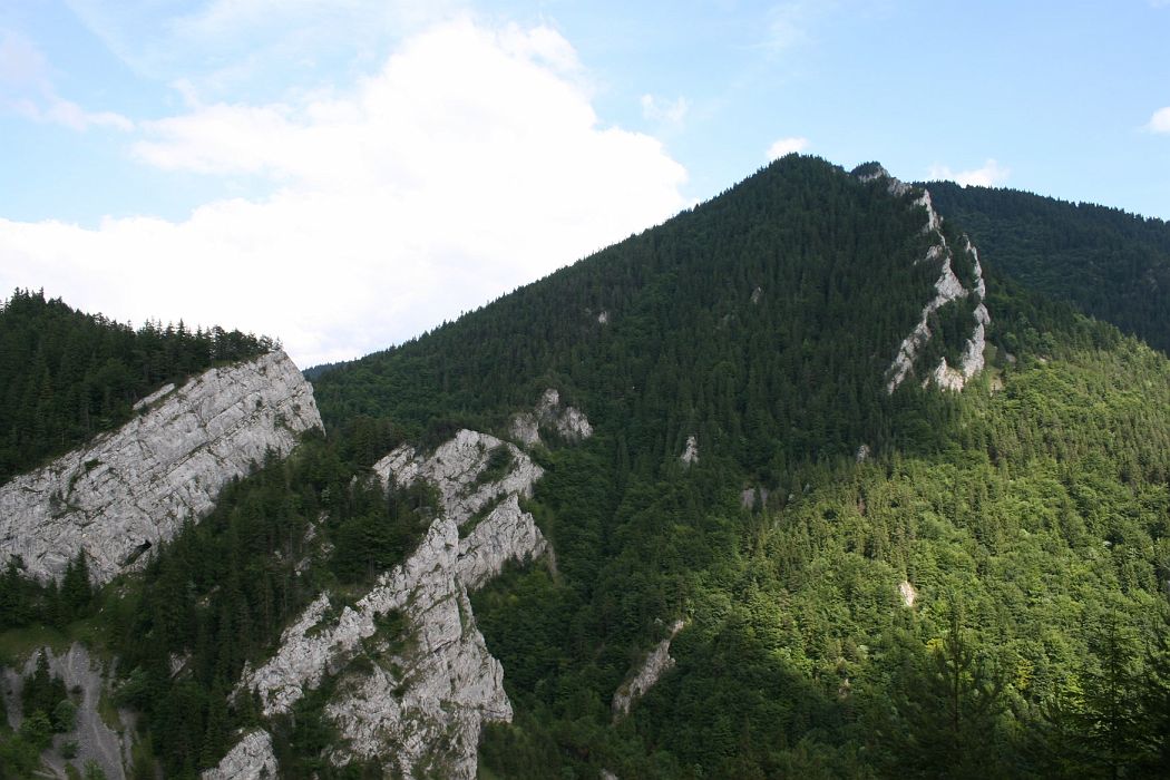 img_0225.jpg