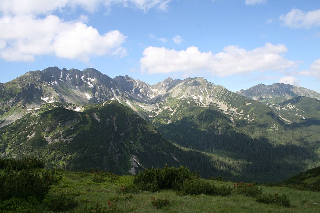 img_0255.jpg