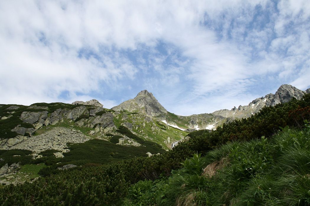 img_0174.jpg