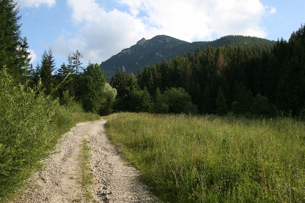 img_4326.jpg