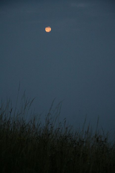 img_4163.jpg
