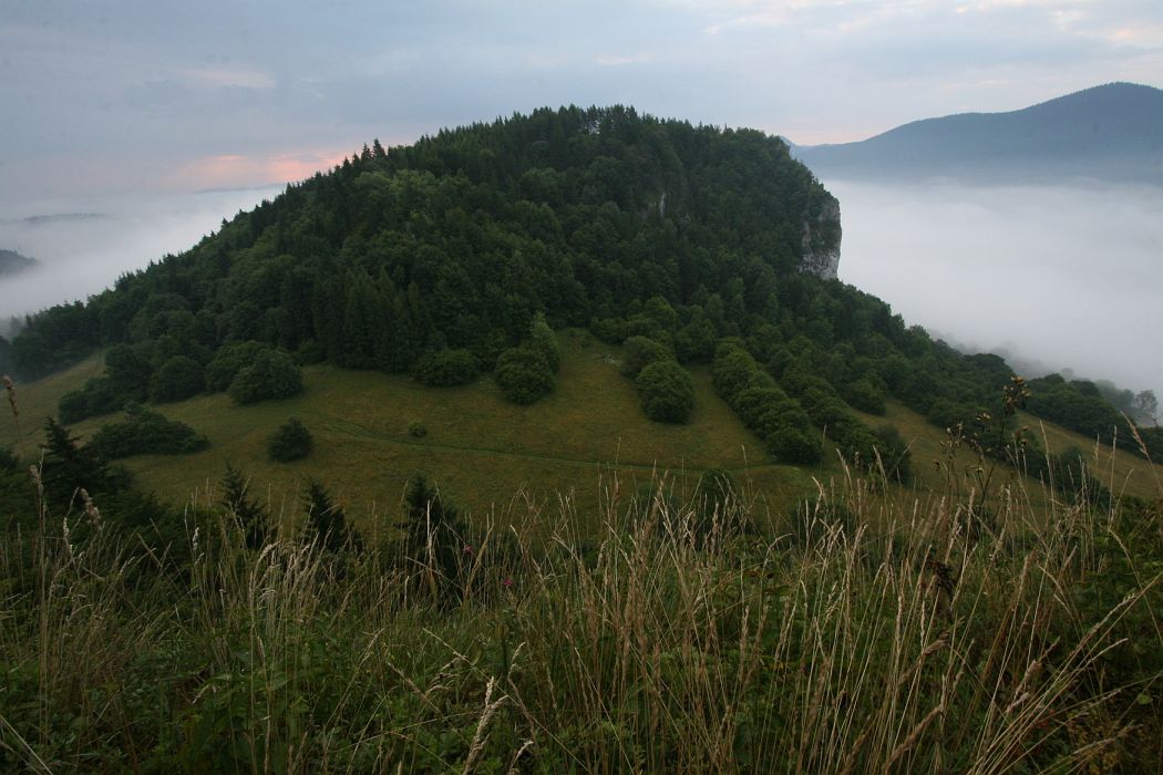 img_4208.jpg