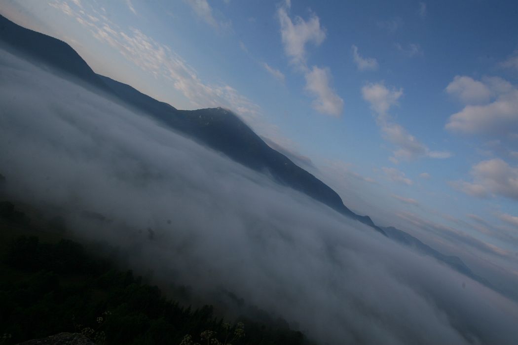 img_4234.jpg