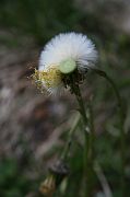 img_3913
