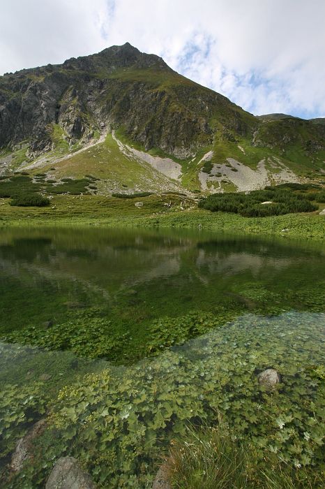 jakubina_rackovo_pleso.jpg - Jakubiná v Račkovom plese