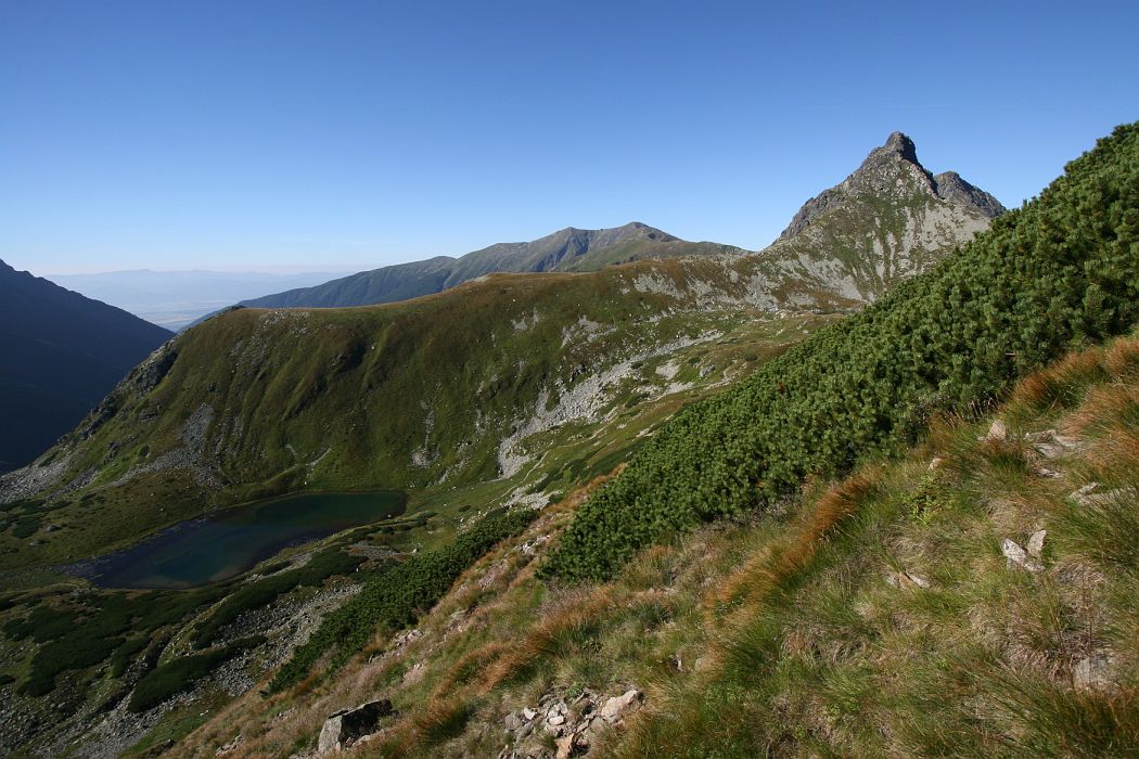 ostry_rohac.jpg - Ostrý Roháč a dolné Jamnické pleso