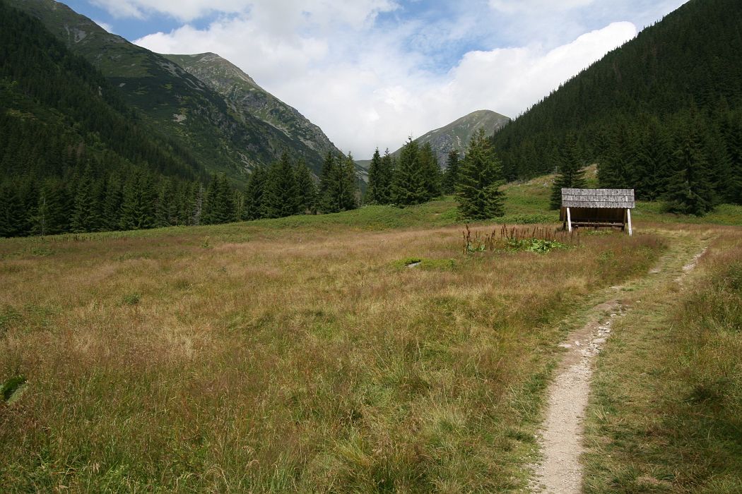 rackova_dolina_2.jpg - Na začiatku Račkovej doliny, vzadu Jakubiná a Klin