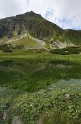 jakubina_rackovo_pleso