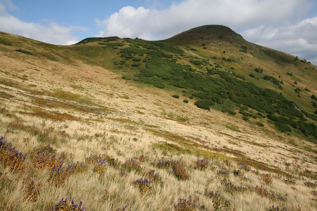 pekelnik.jpg - Pekelník (1609m)