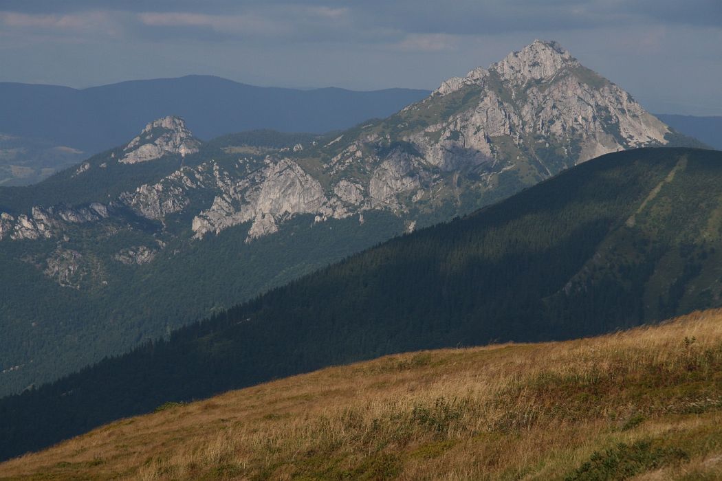 rozsutec_od_krivana.jpg - Veľký Rozsutec (1609m) od Veľkého Kriváňa