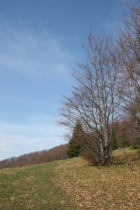 img_1473.jpg
