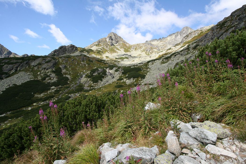 img_3990.jpg - Mengusovský Volovec (2228m)