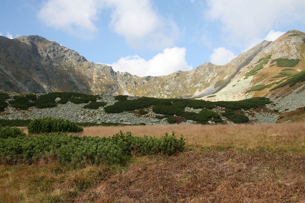 IMG_4465.JPG - Vľavo Nižná Býstrá (2182m)