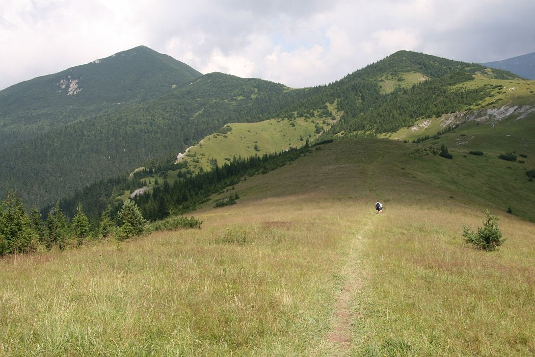 IMG_7345.JPG - Pohľad na Ostrú (1764m) od Babiek