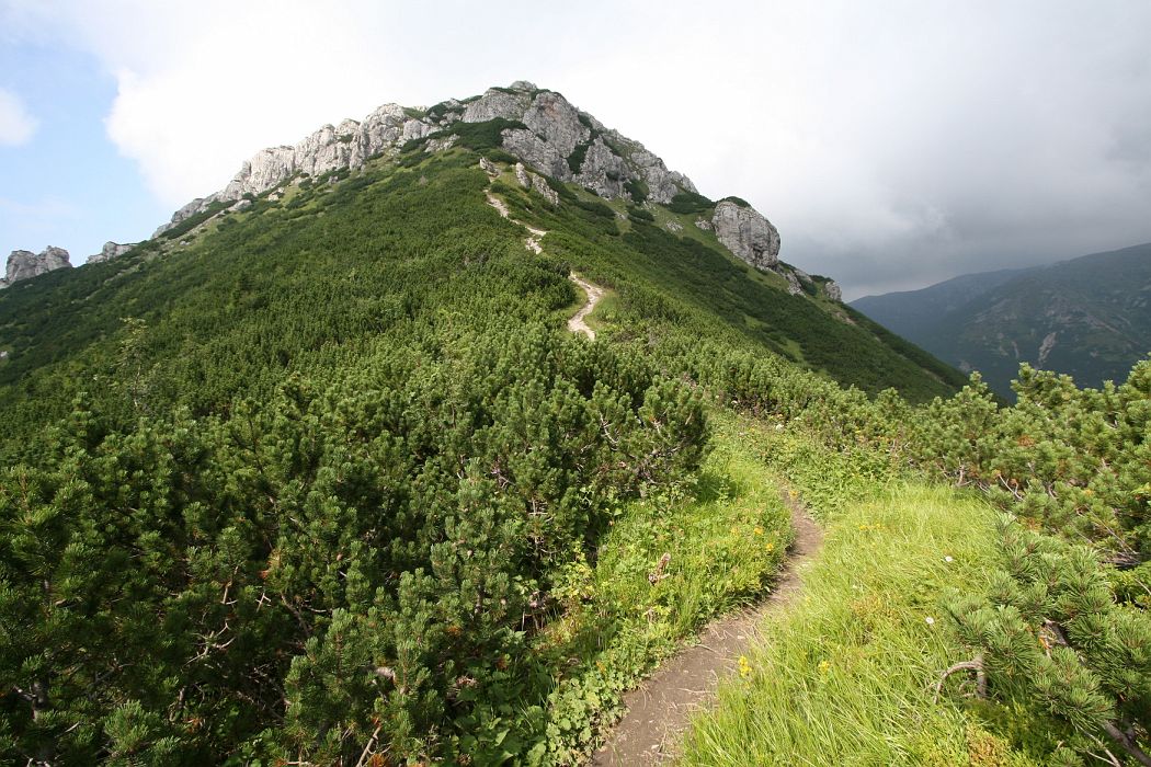 IMG_7385.JPG - Sivý vrch (1805m), hlavný hrebeň vpravo v oblakoch