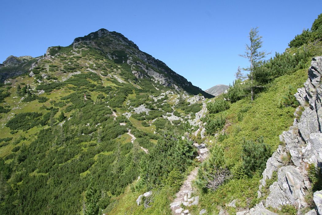 IMG_7730.JPG - Nižná Magura (1920m)