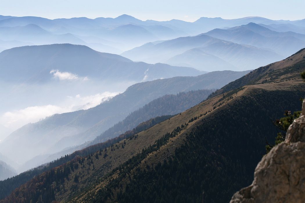 IMG_8602.JPG - Z Rozsutca na juh - Veľká Fatra, na obzore v strede Rakytov, vpravo Čierny Kamň a Ploská, pred ňou Kľak