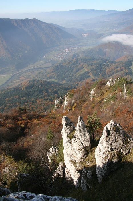 IMG_8792.JPG - Kraľovianska dolina, vzadu Martinské hole