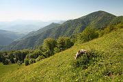 IMG_8854-merged