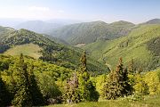 IMG_8928