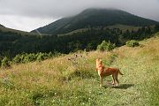 IMG_9552