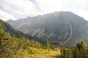IMG_0146
