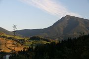 IMG_0575