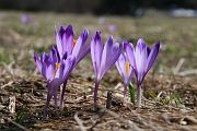 IMG_2090