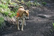 IMG_2954