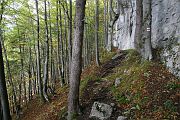 IMG_4973