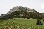 IMG_7156