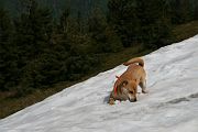 IMG_7179