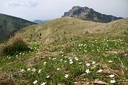 IMG_7188