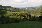 IMG_7441-2