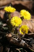 IMG_0191