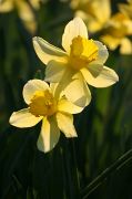 IMG_0670