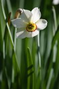 IMG_1273