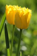 IMG_1277-2