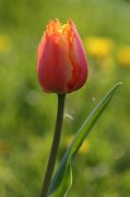 IMG_1820