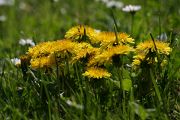 IMG_1828