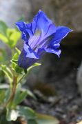 IMG_1838