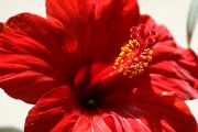 IMG_2672