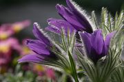 img_0733