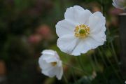 img_7933