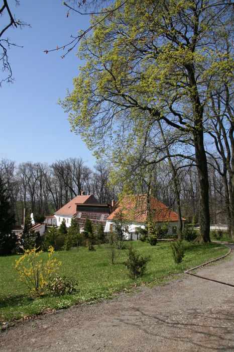 IMG_6648.JPG