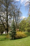 IMG_6838