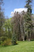 IMG_6842