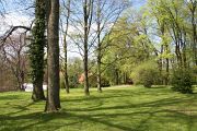 IMG_6850